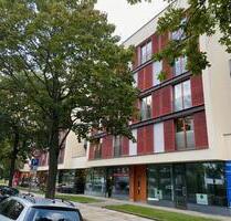 Helle, große 1-Raumwhg. in DD Südvorstadt, Lukas Areal, Uni-Nähe - Dresden Plauen