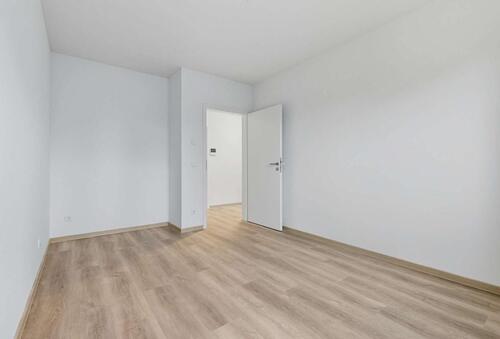 Foto - Etagenwohnung in Dresden zur Miete