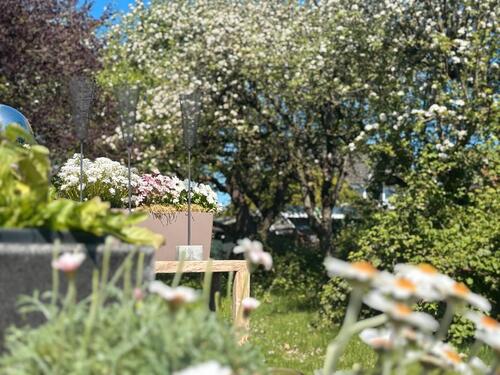 Foto - Einfamilienhaus zum Kaufen in Schwarzenbek