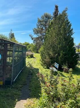 Foto - Grundst&uuml;ck in Brieselang