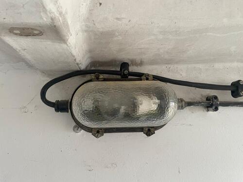 Foto - andere in Halle (Saale)