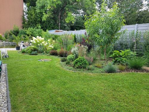 Foto - 4 Zimmer Einfamilienhaus zur Miete in Babenhausen