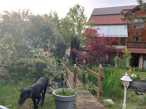 Foto - Mehrfamilienhaus, Wohnhaus in Schulzendorf zum Kaufen