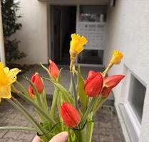 ERSTBEZUG| Tipptopp frisch renovierte 3 12 ZWG im Grünen mit Aussicht |TG und Aufzug - Stuttgart Degerloch