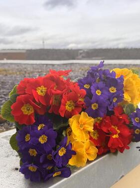 Foto - 3.5 Zimmer Etagenwohnung zur Miete in Stuttgart