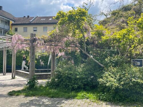 Foto - 4 Zimmer Etagenwohnung zur Miete in Warstein