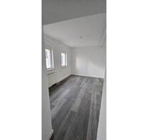 Erstbezug nach Renovierung in Lu-Maudach 6 Zimmern& 2 Bäder! - Speyer