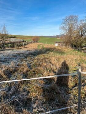 Foto - Grundstücksfläche zur Verpachtung – Nähe Mayen