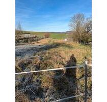 Grundstücksfläche zur Verpachtung – Nähe Mayen