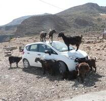 Stellplatz in privater Tiefgarage - Kiedrich