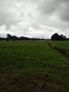 Foto - Grundstück in Großheide zur Miete