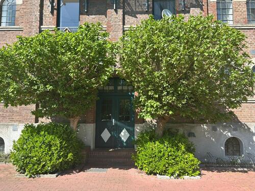 Foto - 4 Zimmer Etagenwohnung zur Miete in Lienen