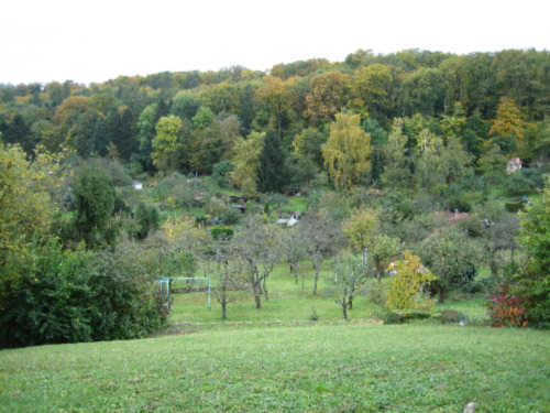 Foto - 2 Zimmer Terrassenwohnung zur Miete in Stuttgart