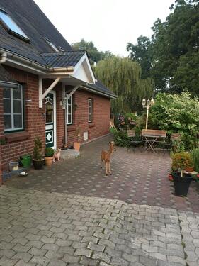 Foto - Bauernhaus, Landhaus in Ihlienworth zum Kaufen