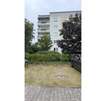 Grüne Oase zum Parken – Stellplätze im Innenhof zu vermieten - Cottbus Merzdorf