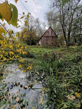 Foto - Wohnen im Einklang mit der Natur, Freistehendes Einfamilienhaus