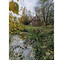 Wohnen im Einklang mit der Natur, Freistehendes Einfamilienhaus - Mulda/Sa.