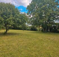 Einfamilienhaus in Hirschau - 1.500,00 EUR Kaltmiete, in Hirschau (PLZ: 92242)