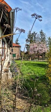 Foto - Einfamilienhaus in Söllingen zum Kaufen