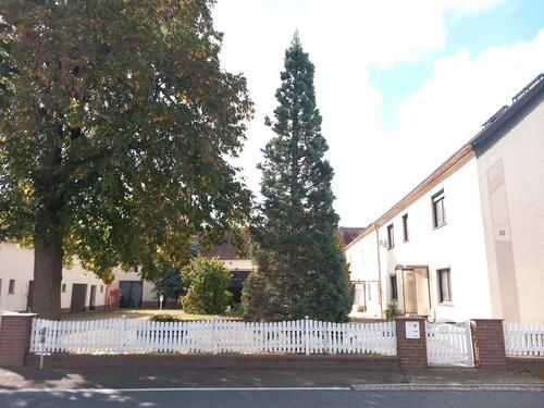 Foto - 7 Zimmer Einfamilienhaus zum Kaufen in Bad Liebenwerda