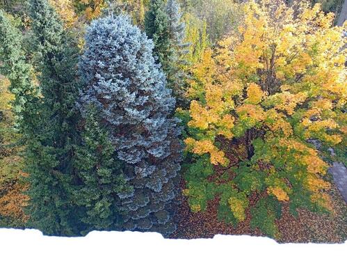 Foto - 1 Zimmer Etagenwohnung in Mainz