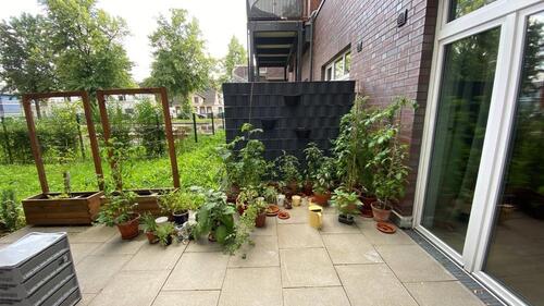 Foto - 2 Zimmer Erdgeschoßwohnung in Hamburg