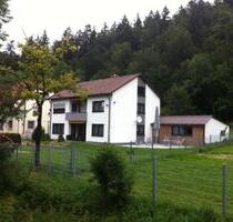 Möbliertes Apartment, ca. 40 qm in Tuttlingen Stadtrand ab 1.3.26