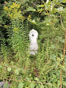 Foto - Grundst&uuml;ck in Suhl zur Miete