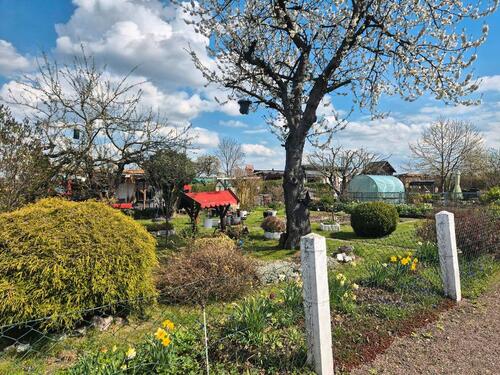 Foto - Grundst&uuml;ck in Waltershausen zur Miete