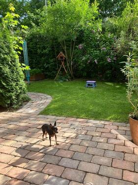 Foto - 3 Zimmer Erdgeschoßwohnung zum Kaufen in Gifhorn