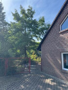 Foto - Einfamilienhaus in Berlin zum Kaufen