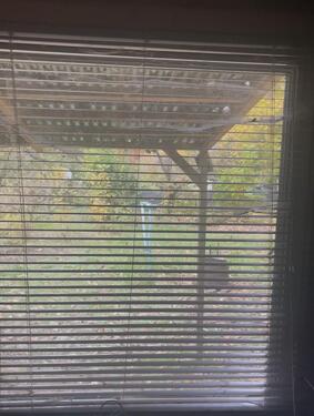 Foto - Grundstück zur Miete in Koblenz