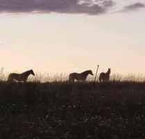 4 Raumwohnung auf kleinem Bauernhof - Dippoldiswalde