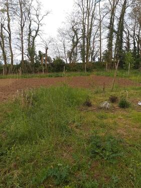 Foto - Gartengrundstück - 1.200,00 EUR Kaltmiete, ca.  0,00 m²