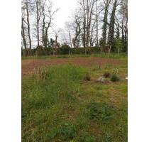 Gartengrundstück - 1.200,00 EUR Kaltmiete, ca.  0,00 m² in Mainz (PLZ: 55129) Ebersheim