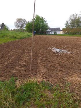 Foto - Grundstück zur Miete in Mainz