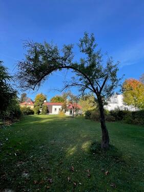 Foto - 4.5 Zimmer Einfamilienhaus zur Miete in Rangsdorf