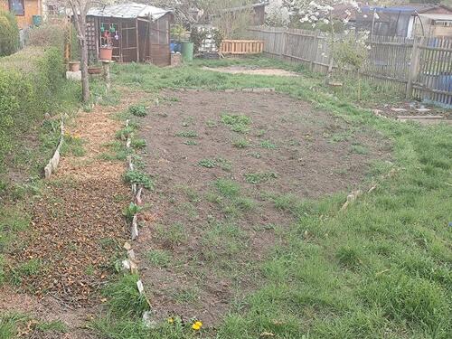 Foto - Schöner kleiner Pachtgarten abzugeben