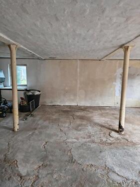 Foto - andere in Dassel