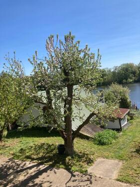 Foto - Einfamilienhaus in Liebenwalde zur Miete