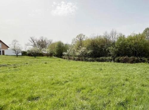 Foto - Etagenwohnung zur Miete in Bamberg