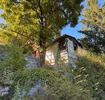 Hanggarten, Pachtgarten im Langetal - Jena Kernberge