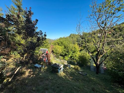 Foto - Grundst&uuml;ck zur Miete in Jena