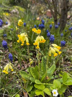 Foto - Grundst&uuml;ck in Jena