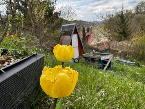 Foto - Grundst&uuml;ck in Jena zur Miete