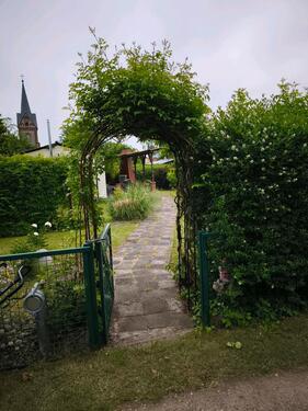 Foto - Einfamilienhaus zum Kaufen in Steinhöfel