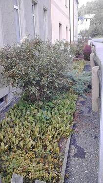 Foto - 10 Zimmer Einfamilienhaus in Greiz