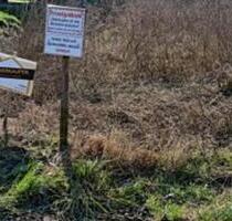 Baugrundstück in Kalkar-Oybaum, voll erschlossen, 48.450,- €