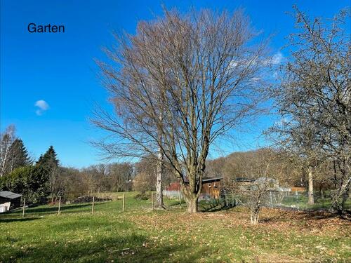 Foto - Bungalow Zweifamilienhaus mit großen Garten zur Miete in MUCH