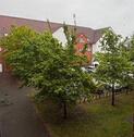 Foto - 101741 Schöne, gemütliche 1-Raumwohnung in zentraler Innenstadtlage in Torgelow